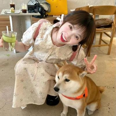 法兰西艳女海报